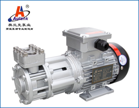 熱水泵:"導熱油泵的密封特點有哪些呢?"